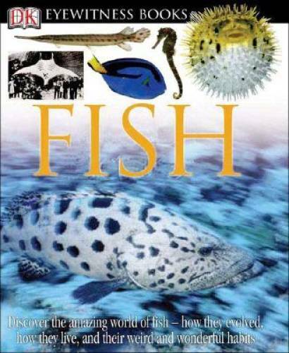 DK Eyewitness Books: Fish – Hardcover By Parker, Steve – GOOD