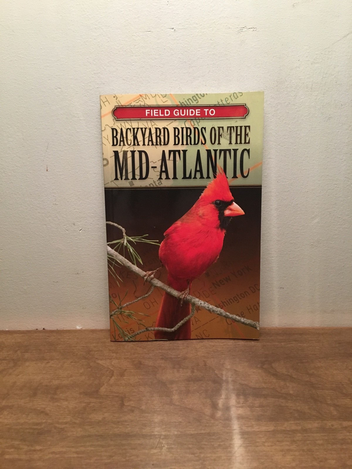 Field Guide to Backyard Birds of the Mid-Atlantic by Cool Springs Press (English