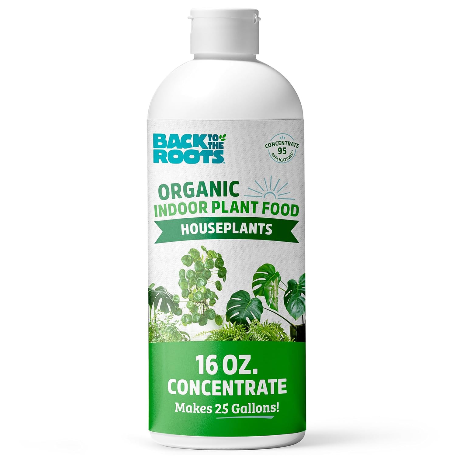 Natural & Organic Indoor Plant Food (16Oz Value Size – 95 Feeds!), Great for Hou