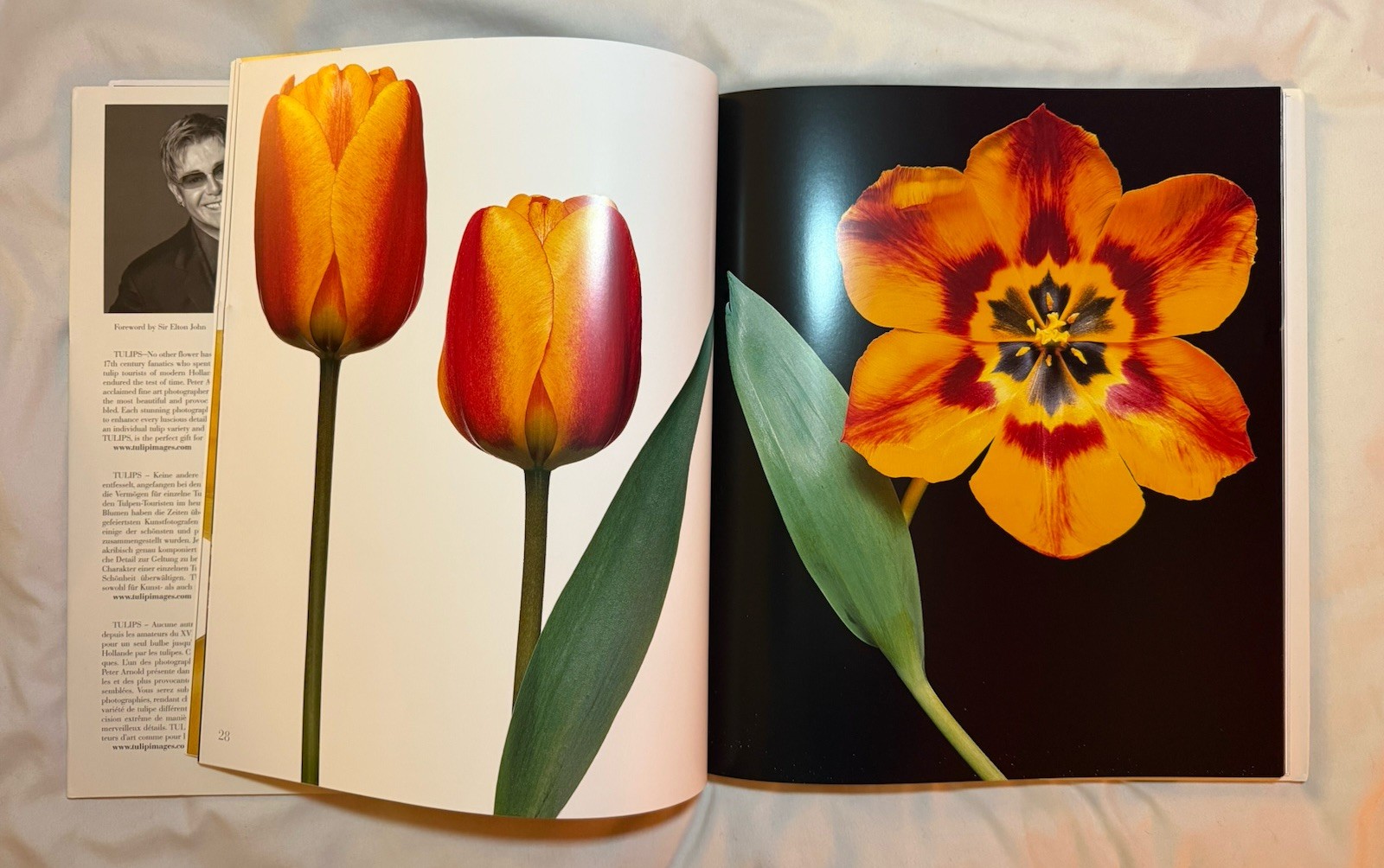 BRAND NEW!!! Tulips Photography Book Hardcover Book with Dust Jacket