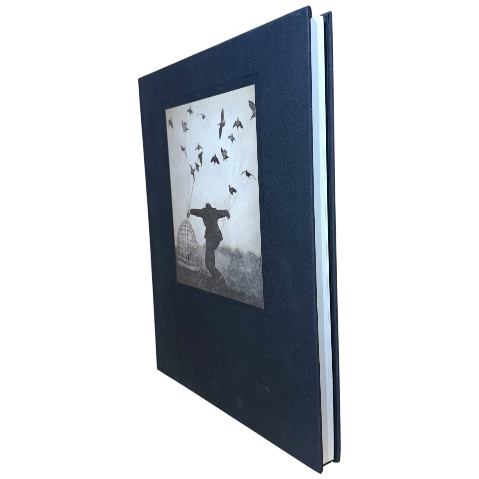 The Architect’s Brother by Robert Parkeharrison 2004 Twin Palms Hardcover Art
