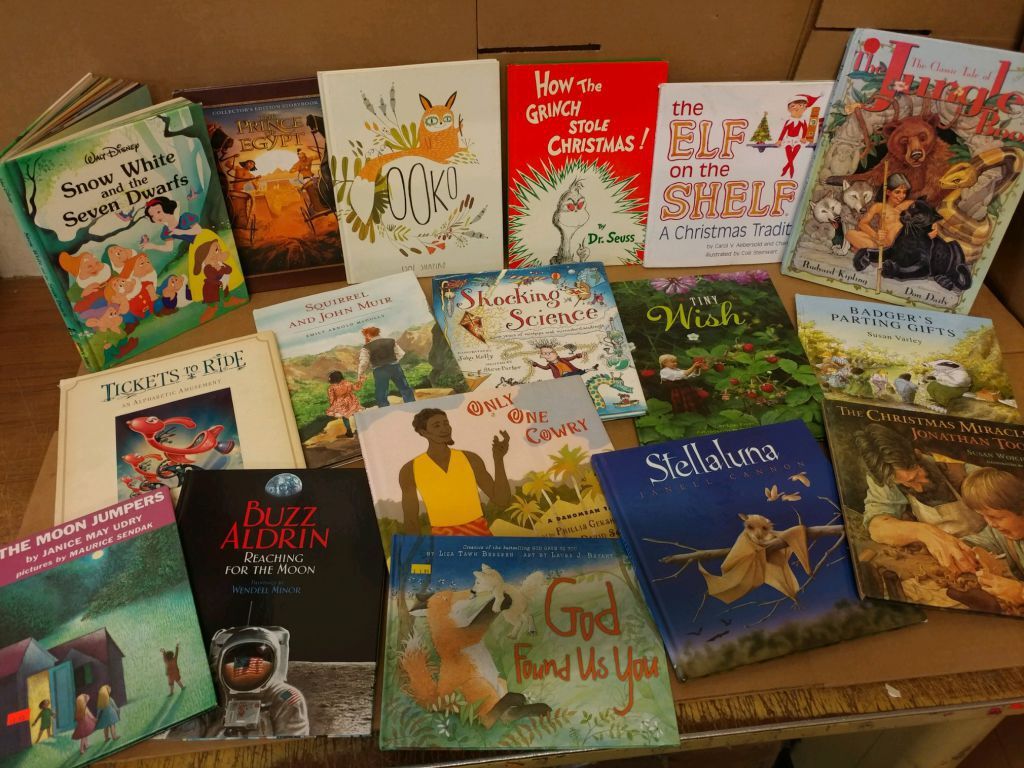 Books by Genre 5 LBS (Pounds) Box Value Lot Sorted Hardback / Paperback MIX SET