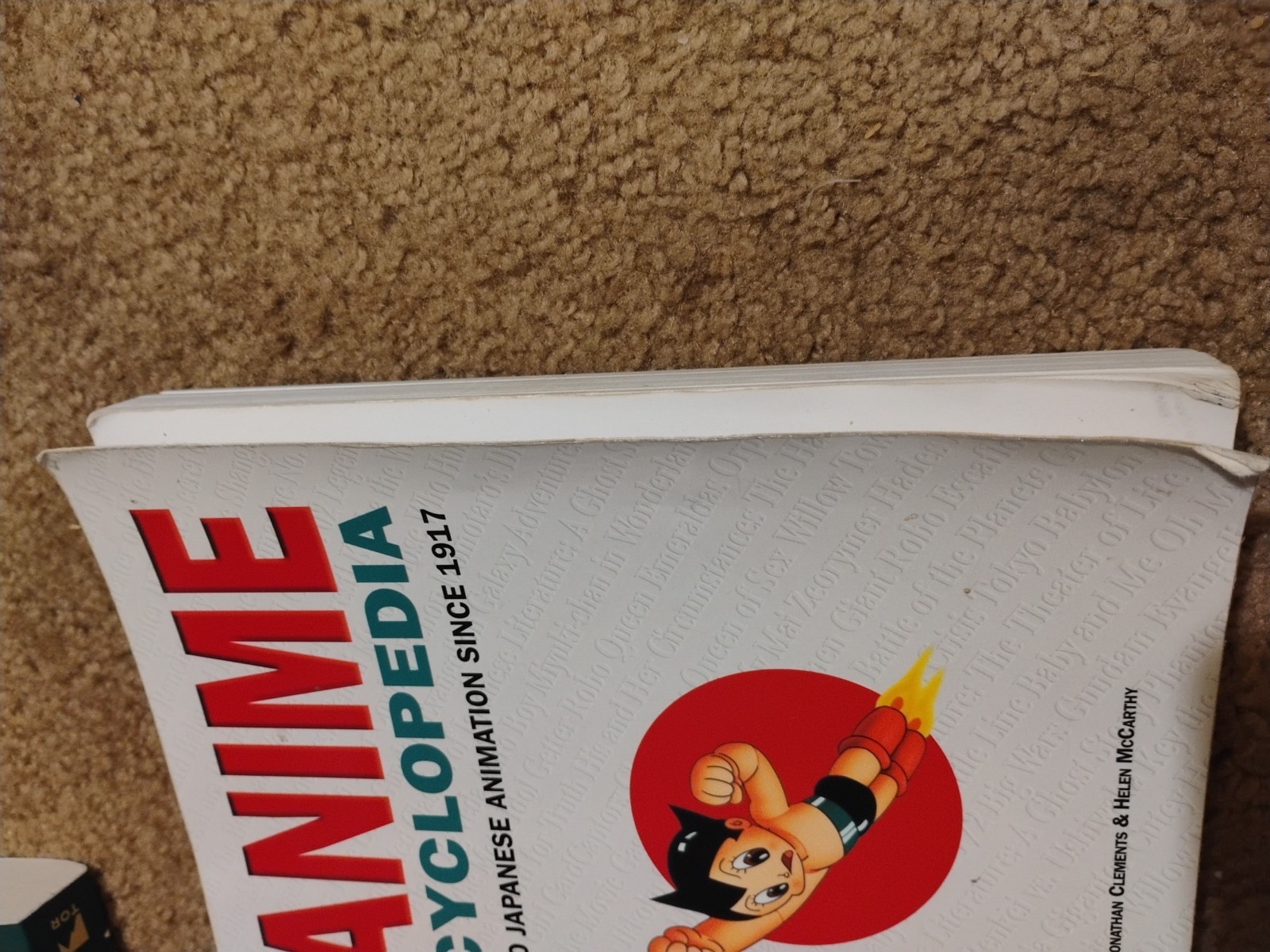 Anime Encyclopedia : A Guide to Japanese Animation since 1917 by Helen McCarthy