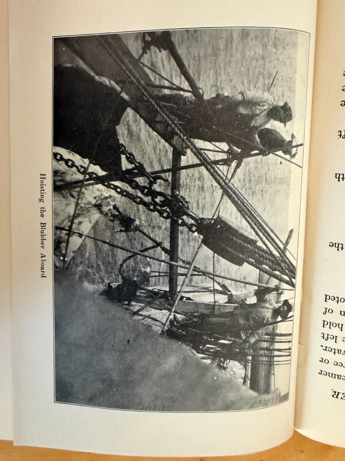 Six Whaling Adventures, Early 20th Century Books–All First Editions