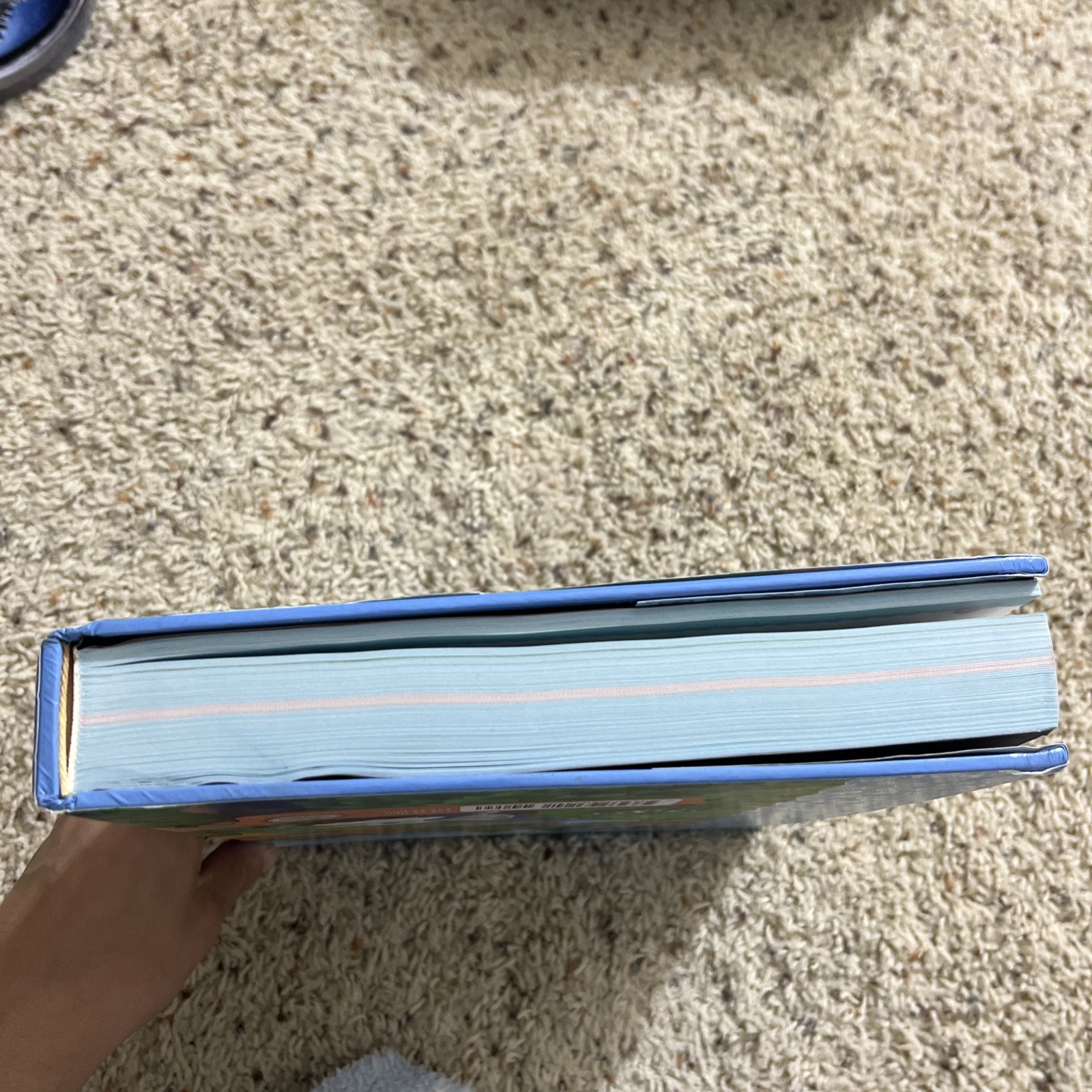 Animal Crossing: New Horizons Official Complete Guide Collectors Future Press