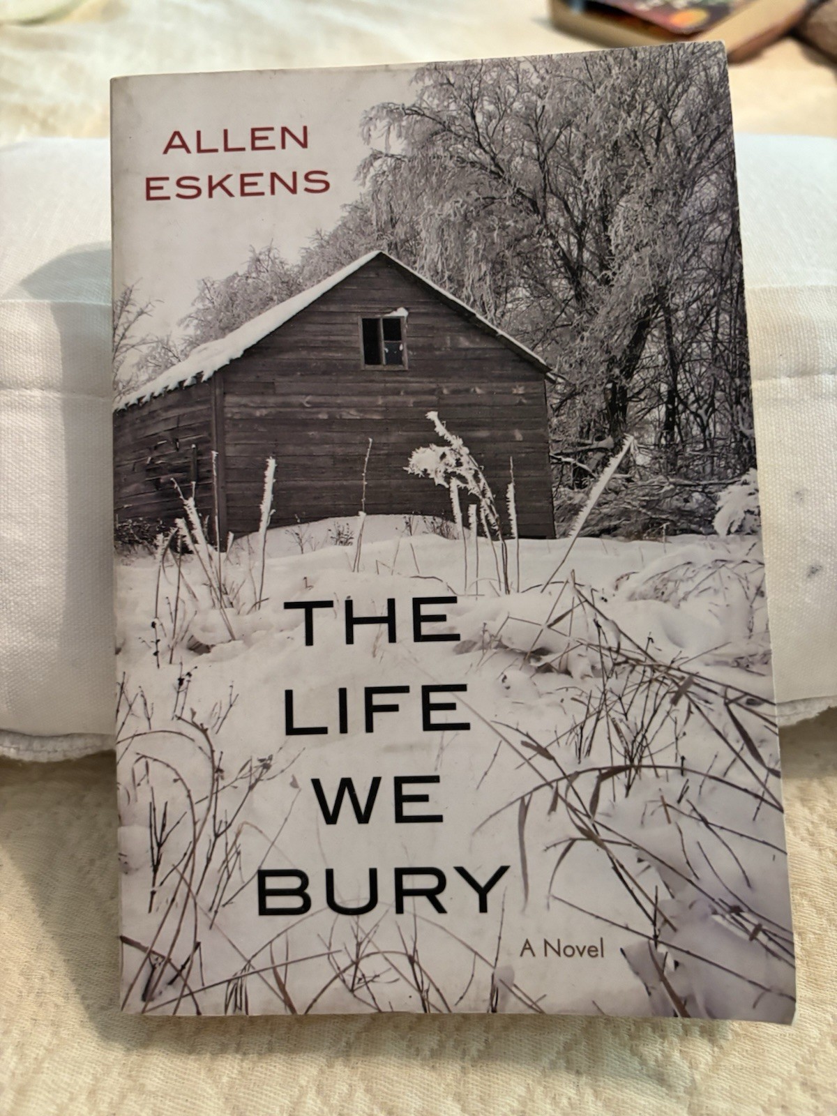 Allen Eskens The Life We Bury: A Novel Trade Paperback 2014 Start Publishing