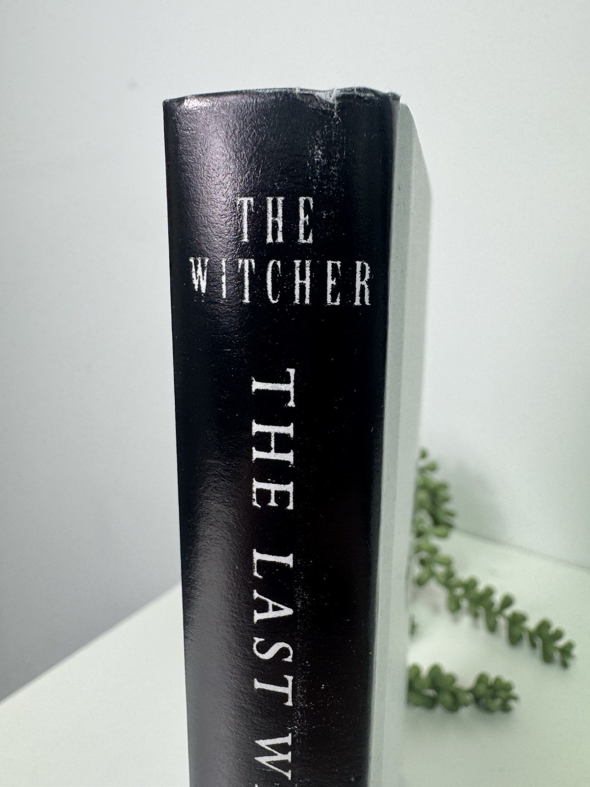 The Witcher The Last Wish by Andrzej Sapkowski 2020 Illumicrate HB