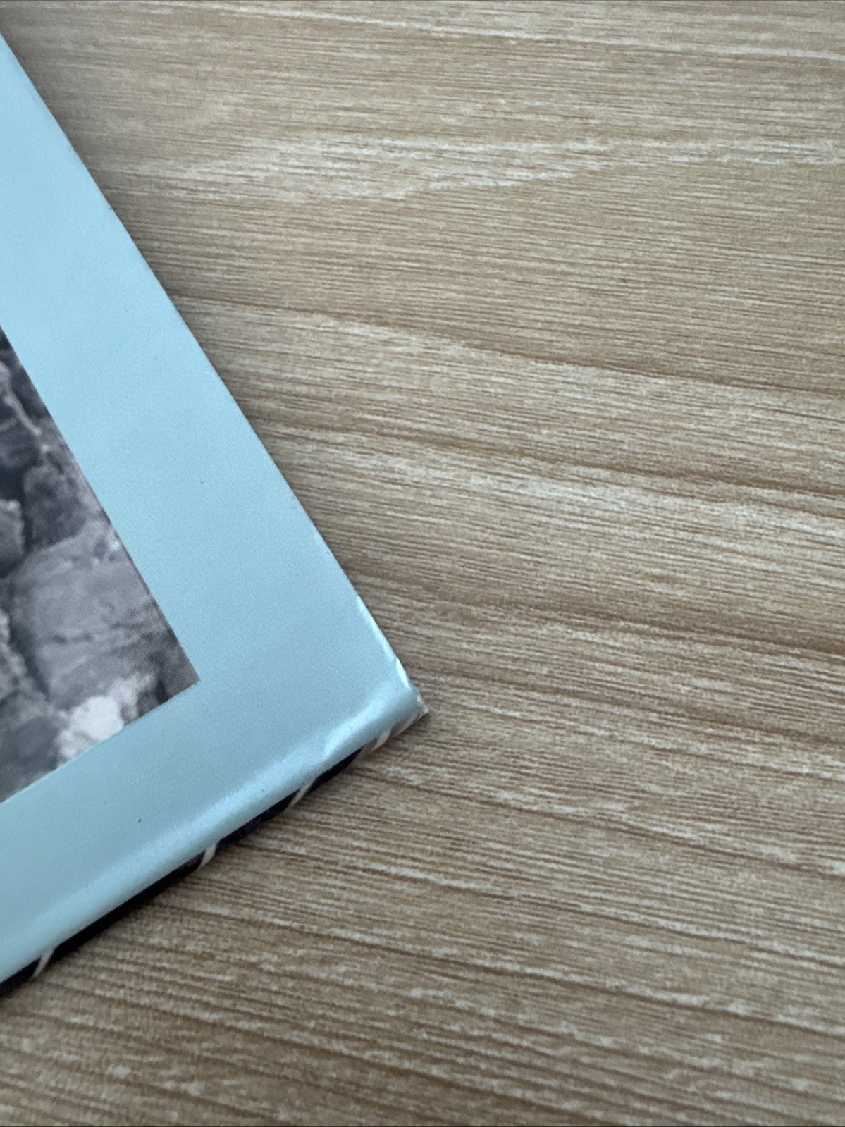 SIGNED When The Moon Hatched Sarah A Parker Deluxe Ed. First Print Limited 💕