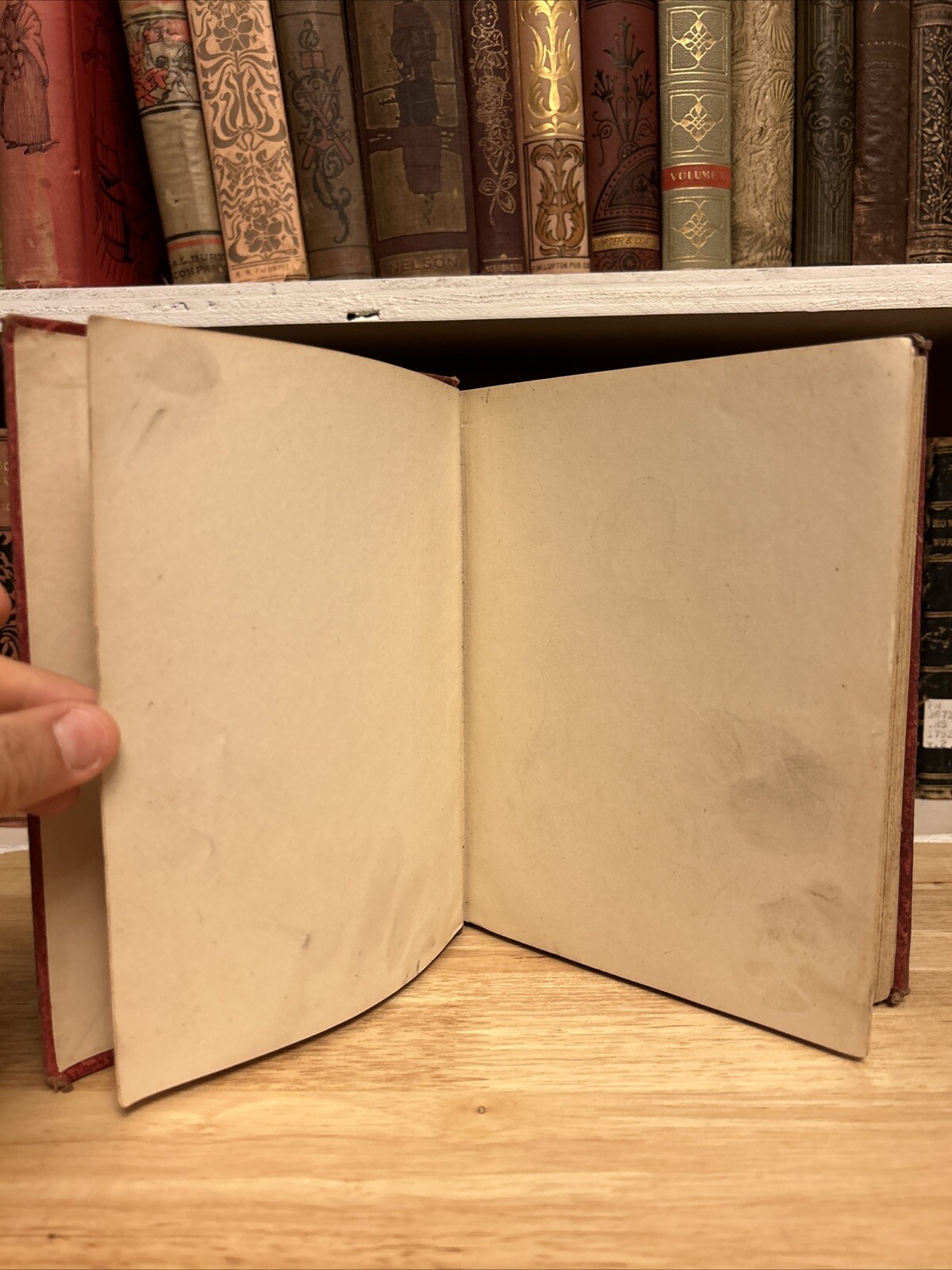 Samantha Among Brethren by Josiah Allen’s Wife Marietta Holley 1892 HC VTG