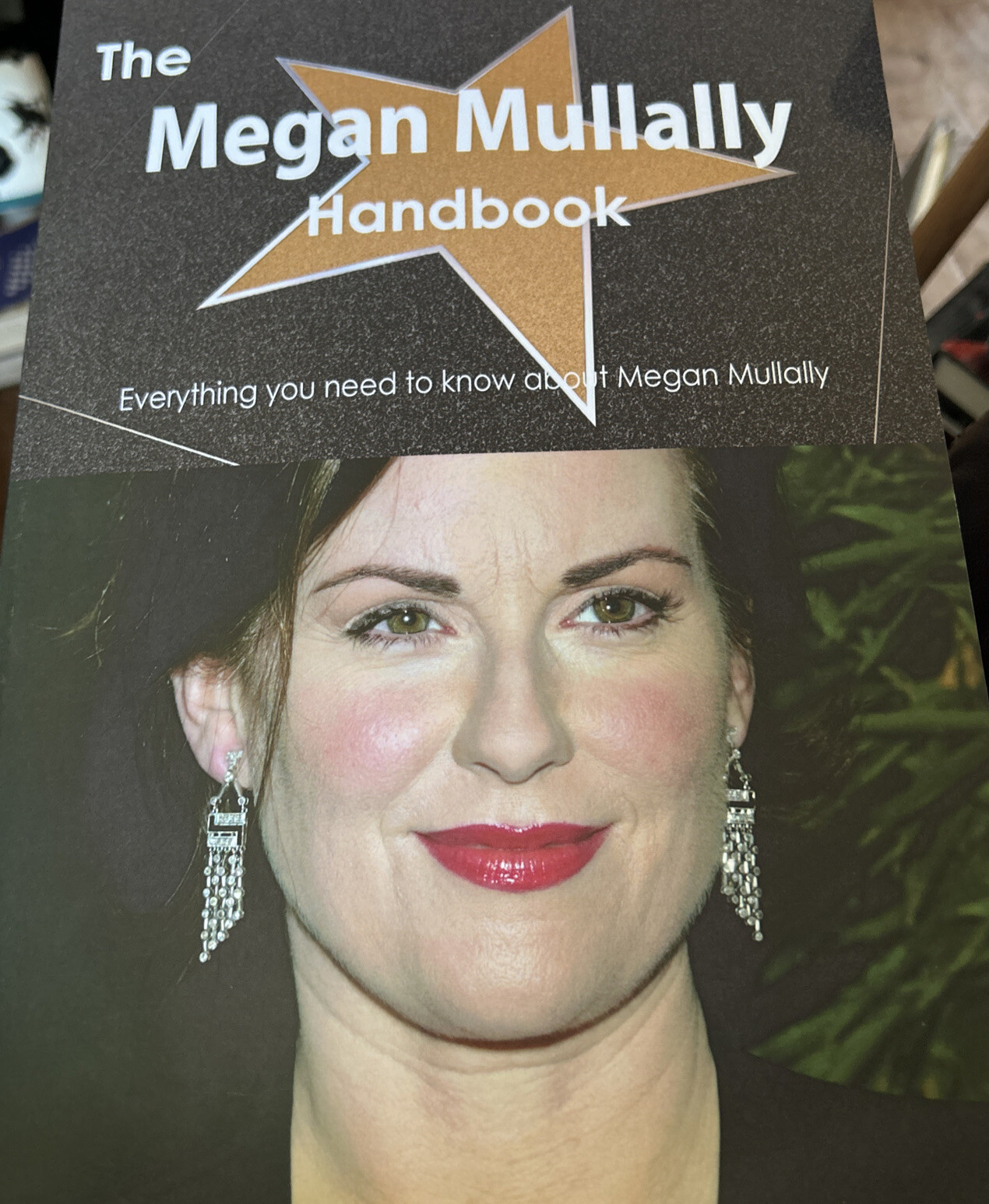 The Megan Mullally Handbook – Everything You Need to Know 396 pages Will & Grace