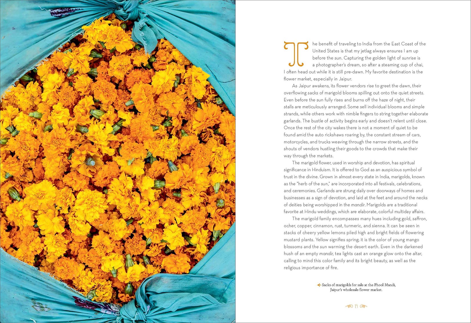 Patterns of India: A Journey Through Colors, Textiles, and the Vibrancy of Rajas