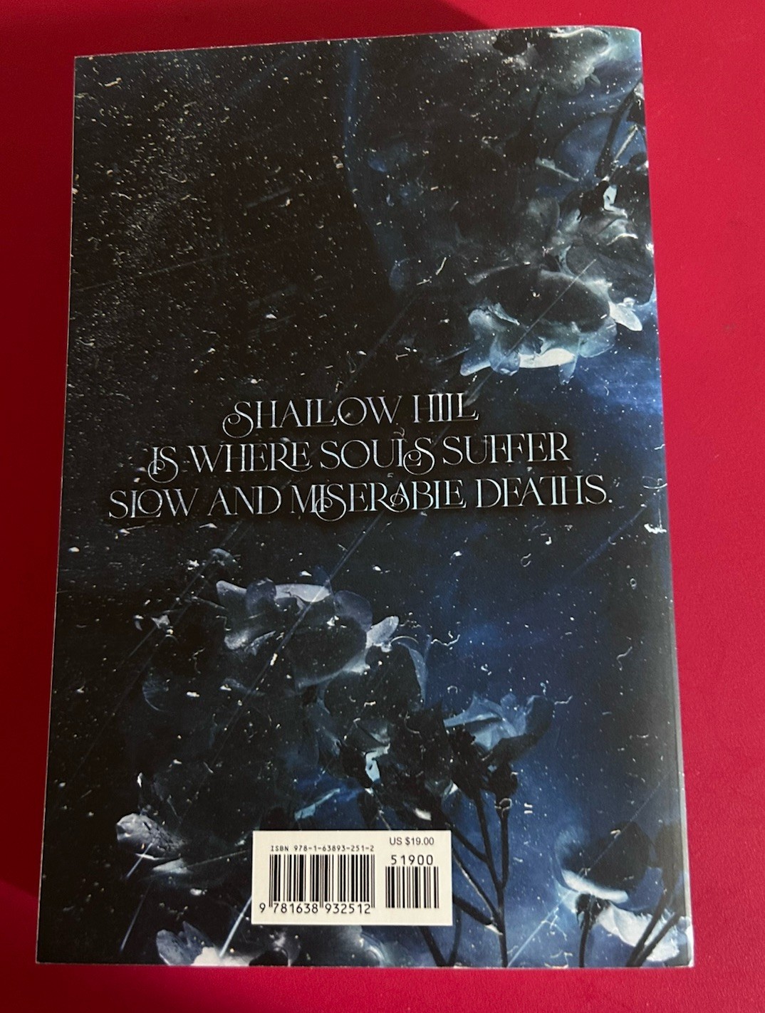 Shallow River by H. D. Carlton Trade Paperback Zando 2025 Thriller Romance Novel