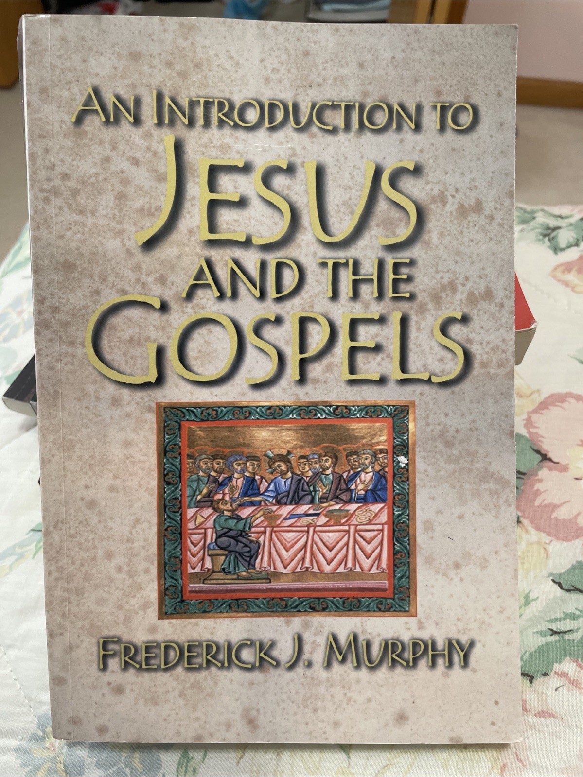 Introduction to Jesus and the Gospels by Frederick J. Murphy (2005)