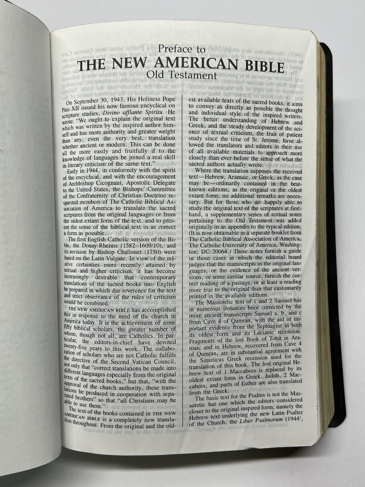 The New American Bible /Bible Catholic Word Press ~