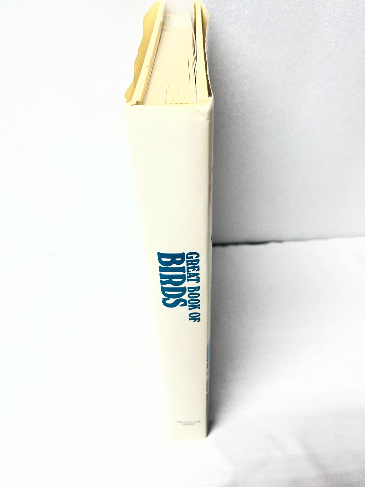 The Great Book Of Birds – 280 pages, 1,000 full color illustrations Ornithology