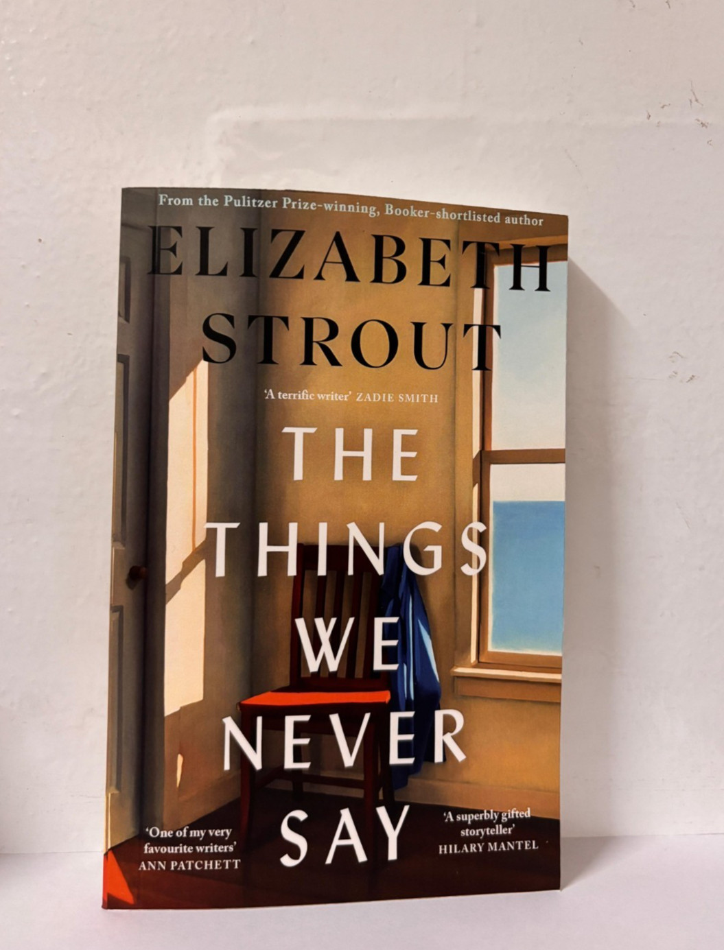 The Things We Never Say by Elizabeth Strout Paperback New Book US