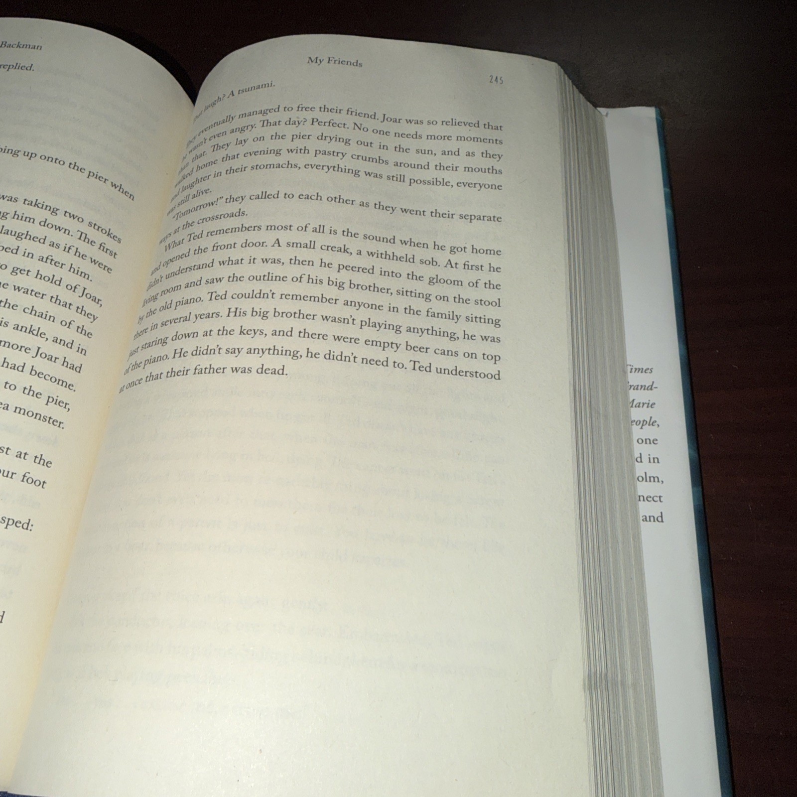 My Friends: A Novel | Fredrik Backman | 2025 Hardcover | 1st Edition WATER DEMAG