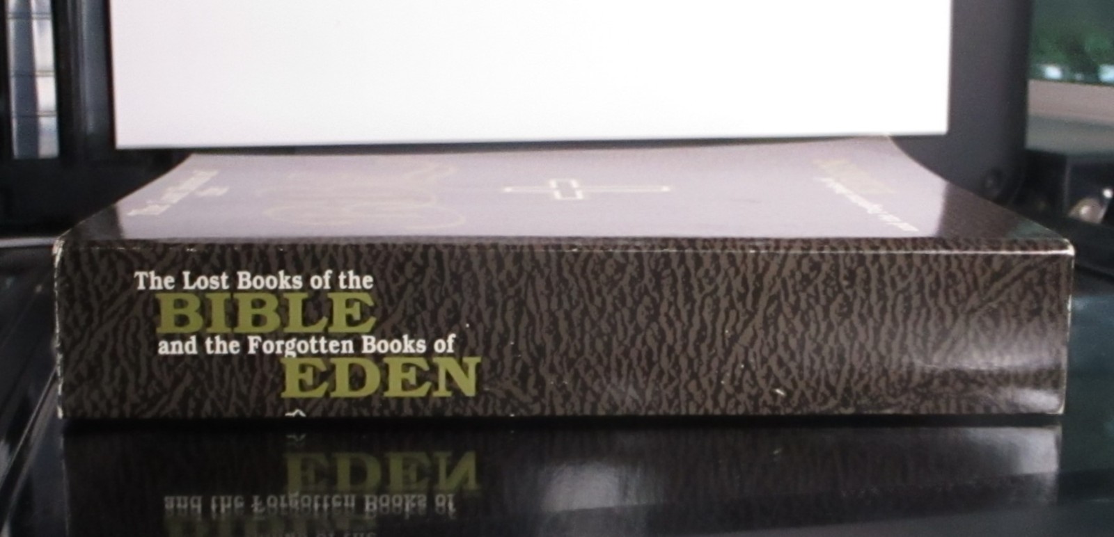 The Lost Books of the Bible and the Forgotten Books of Eden (Alpha House 1927)