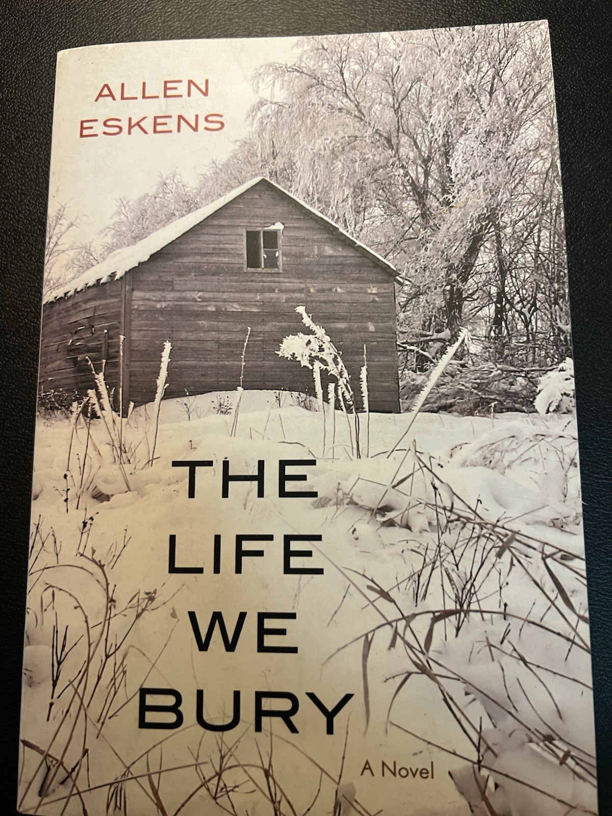 Allen Eskens The Life We Bury Paperback 2014 Crime Fiction Novel