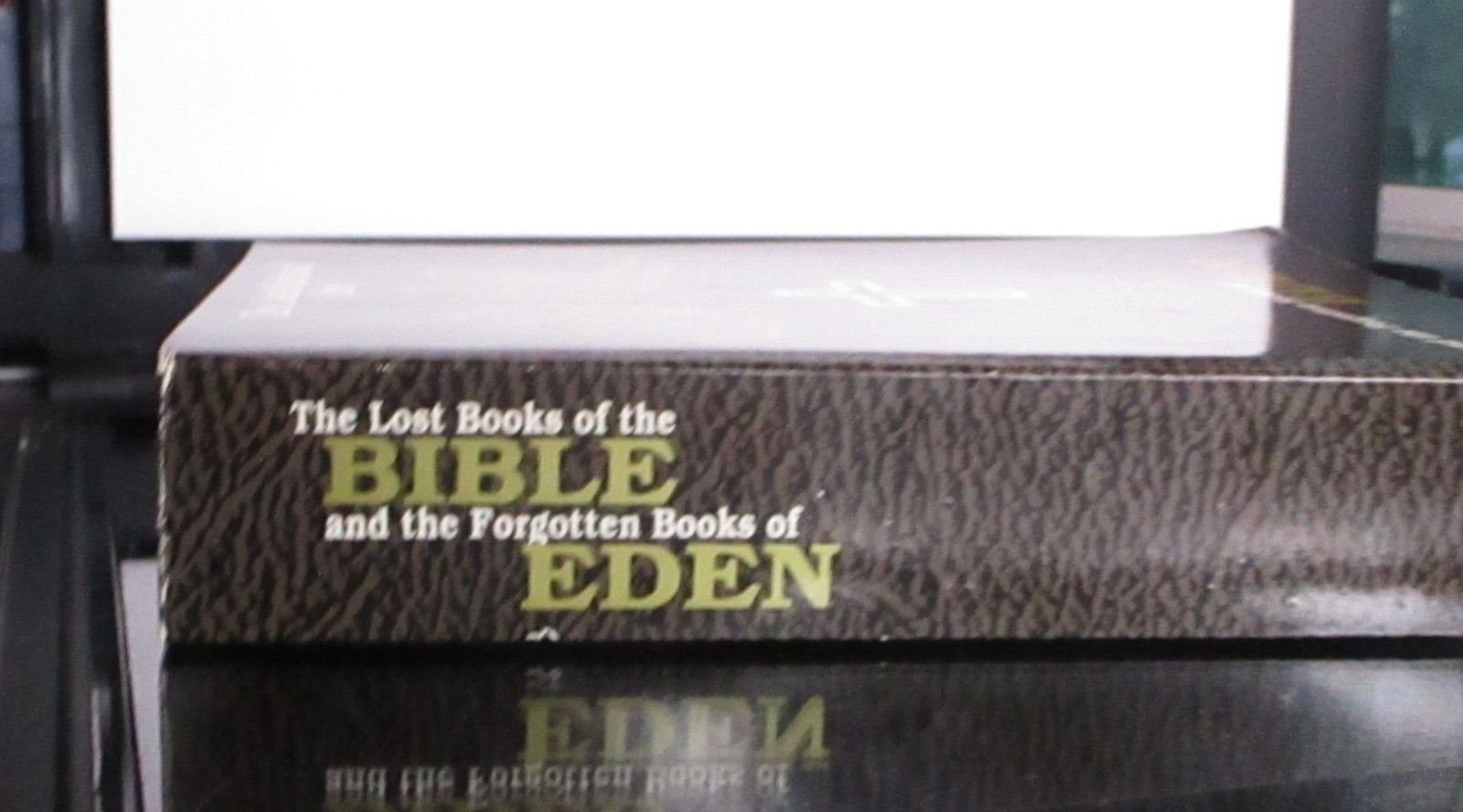 The Lost Books of the Bible and the Forgotten Books of Eden (Alpha House 1927)
