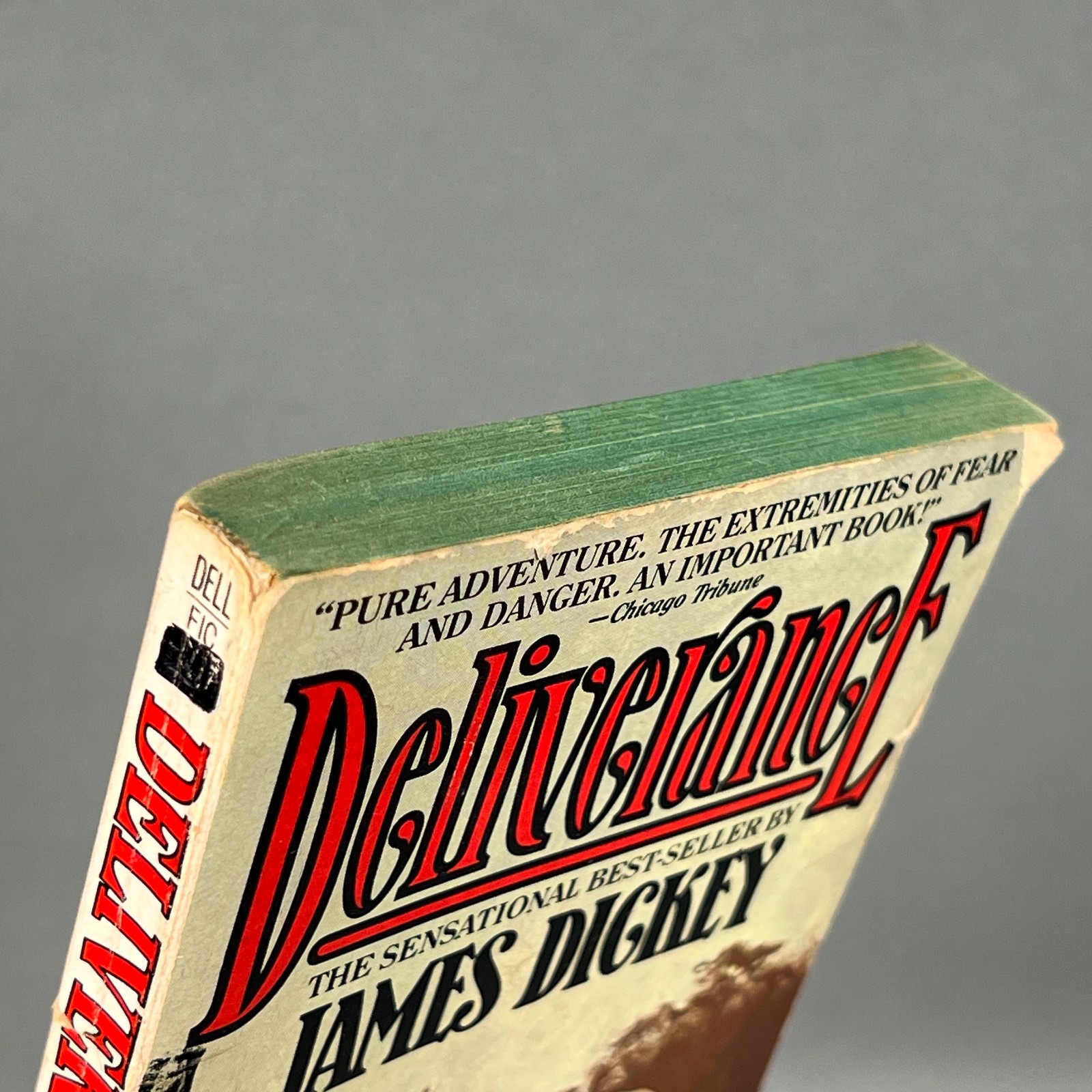 Deliverance James Dickey Dell Paperback 1981 22nd Printing Dead Hand Cover