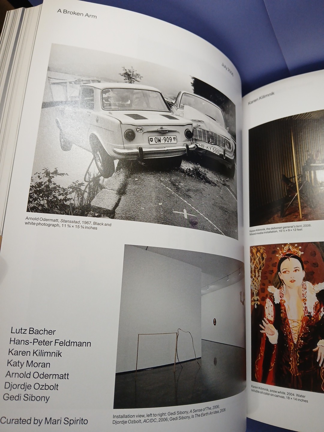 303 Gallery : 35 Years by N.Y. Staff 303 Gallery New York (Hardcover) ART BOOK