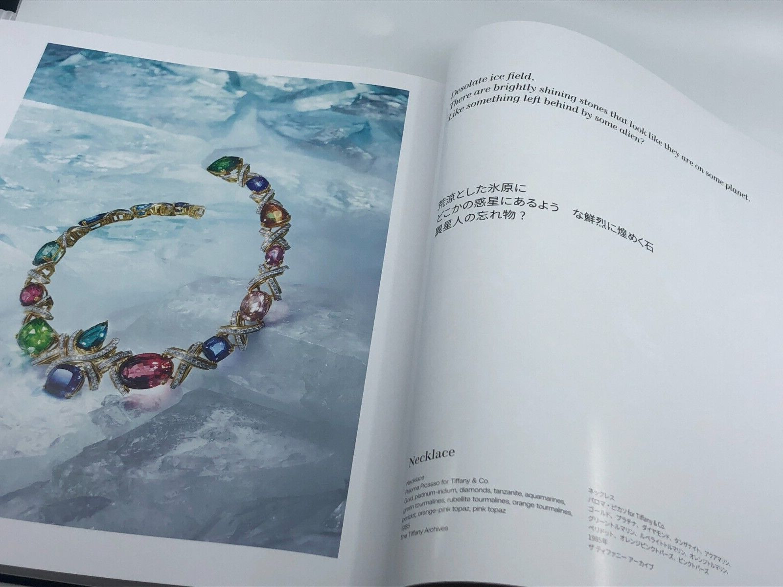 Tiffany Wonder Book- History of Tiffany & Japan published by Assouline 240 pages