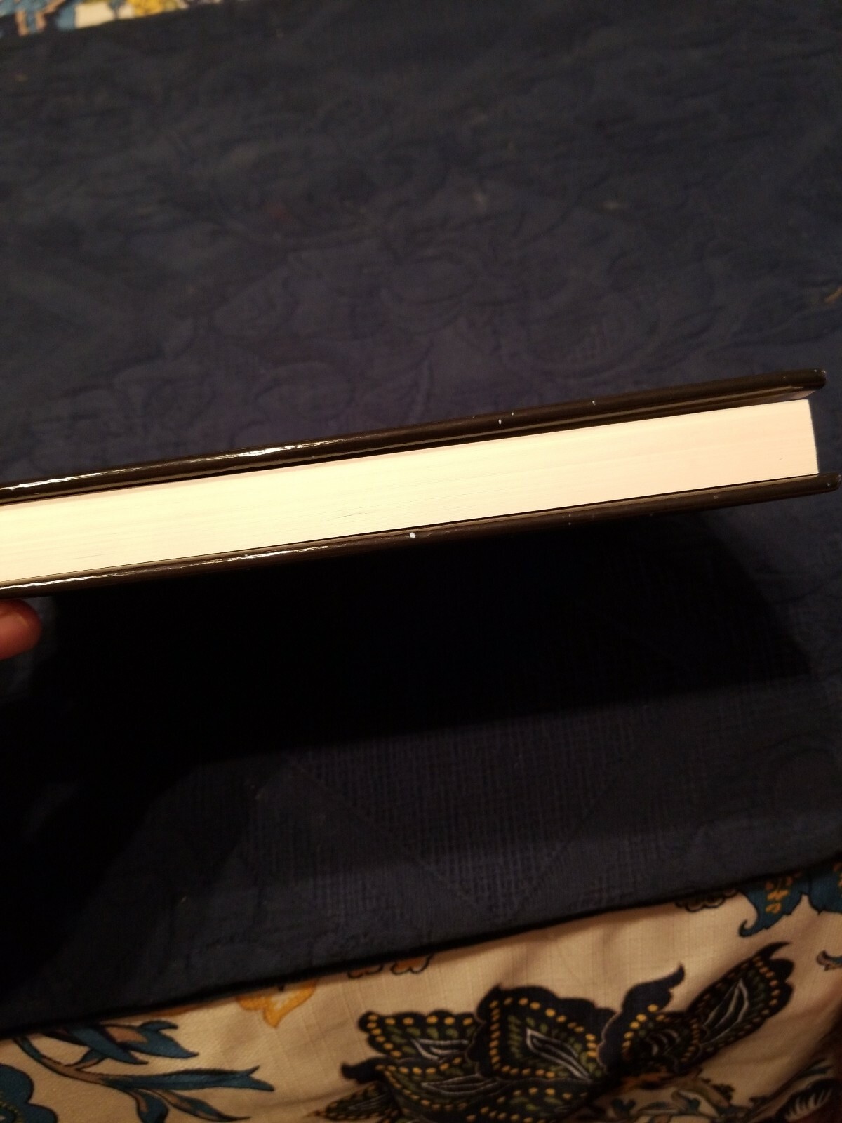 Eftiam by Rustyna Lynne (2011, Hardcover)