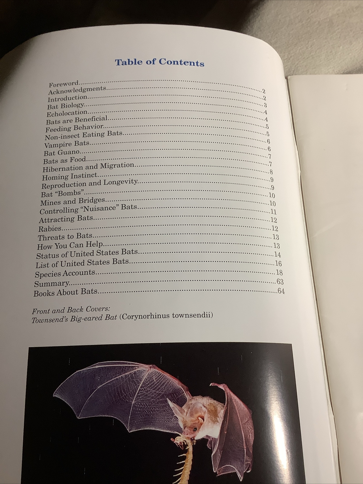 VTG Books Of BATS OF THE UNITED STATES ~ 64 Pages