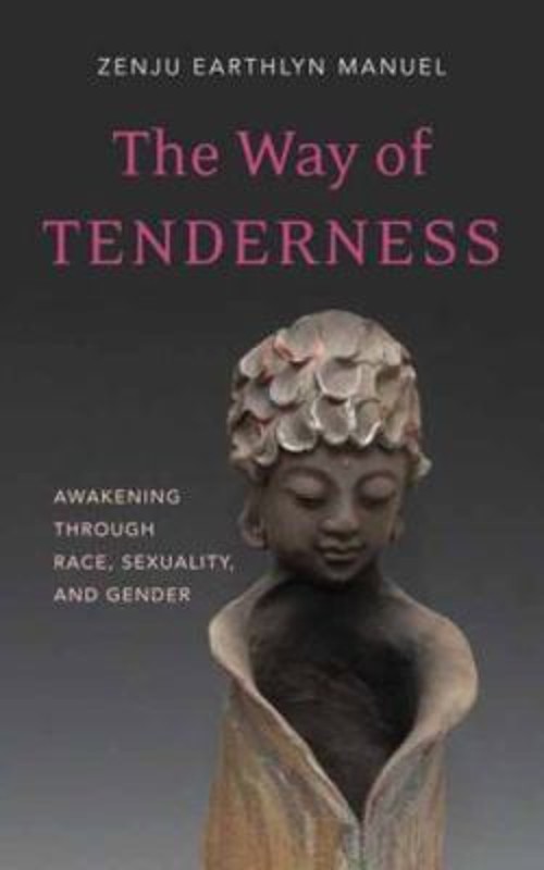 The Way of Tenderness : Awakening Through Race, Sexuality, and Ge