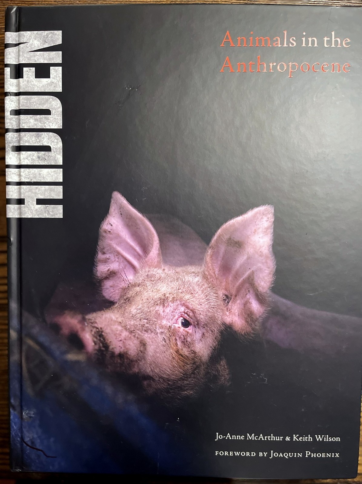 Hidden : Animals in the Anthropocene by Jo-Anne McArthur (2020, Hardcover) VG