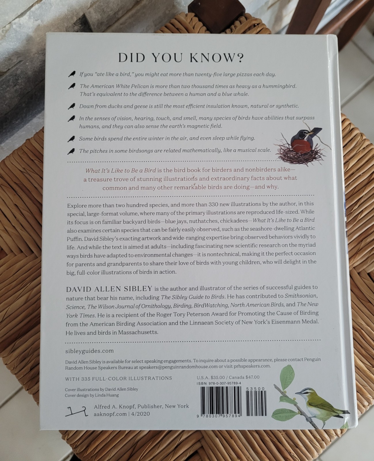 What It’s Like to Be a Bird by David Allen Sibley 2020 Hardcover Flying Singing