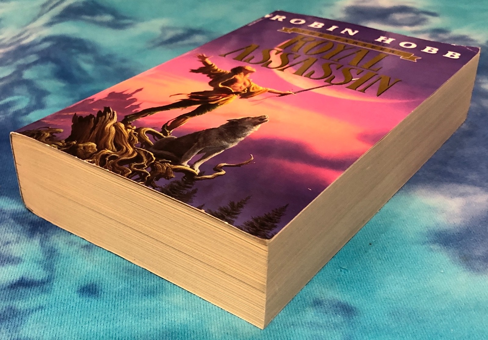 Royal Assassin / Robin Hobb (1996 Bantam Trade PB) The Farseer Trilogy #2