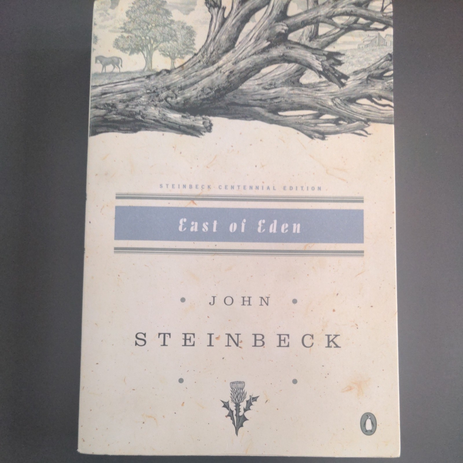 East of Eden, John Steinbeck Centennial Edition – Paperback – GOOD