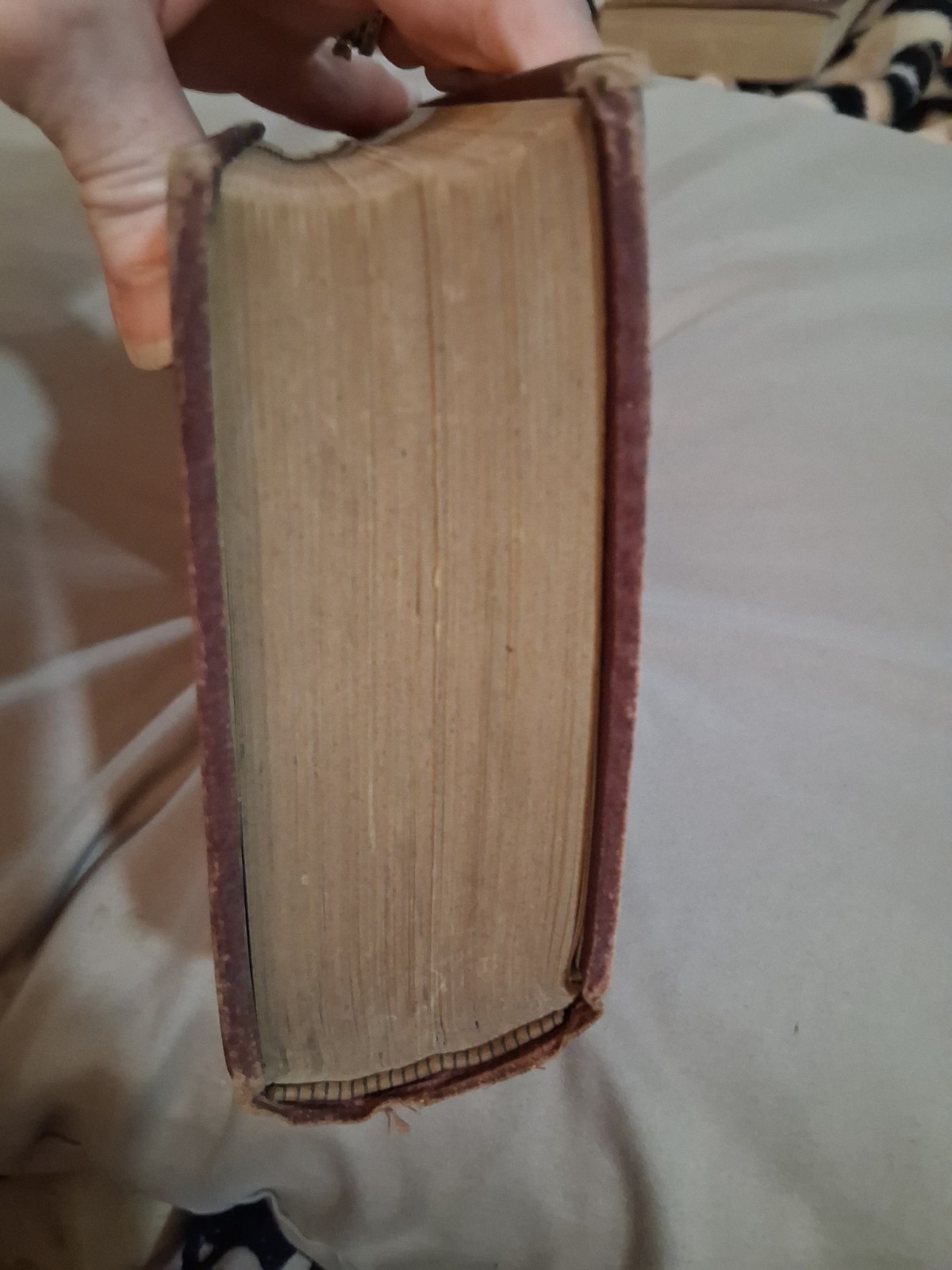 Josiah Allen’s Wife. Samantha at Saratoga. Hubbard, 1887. 1st ed. VG copy.