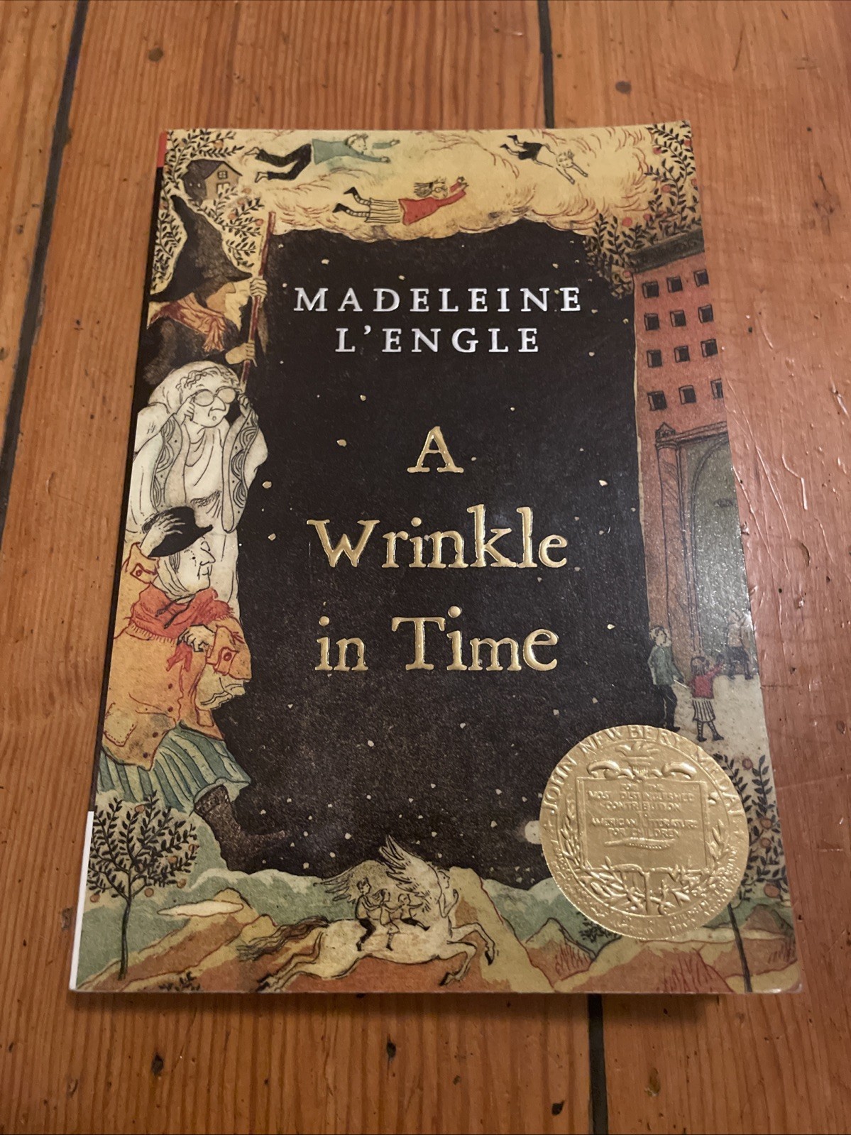 A Wrinkle In Time by Madaleine L’Engle (2007 Square Fish Trade Paperback)