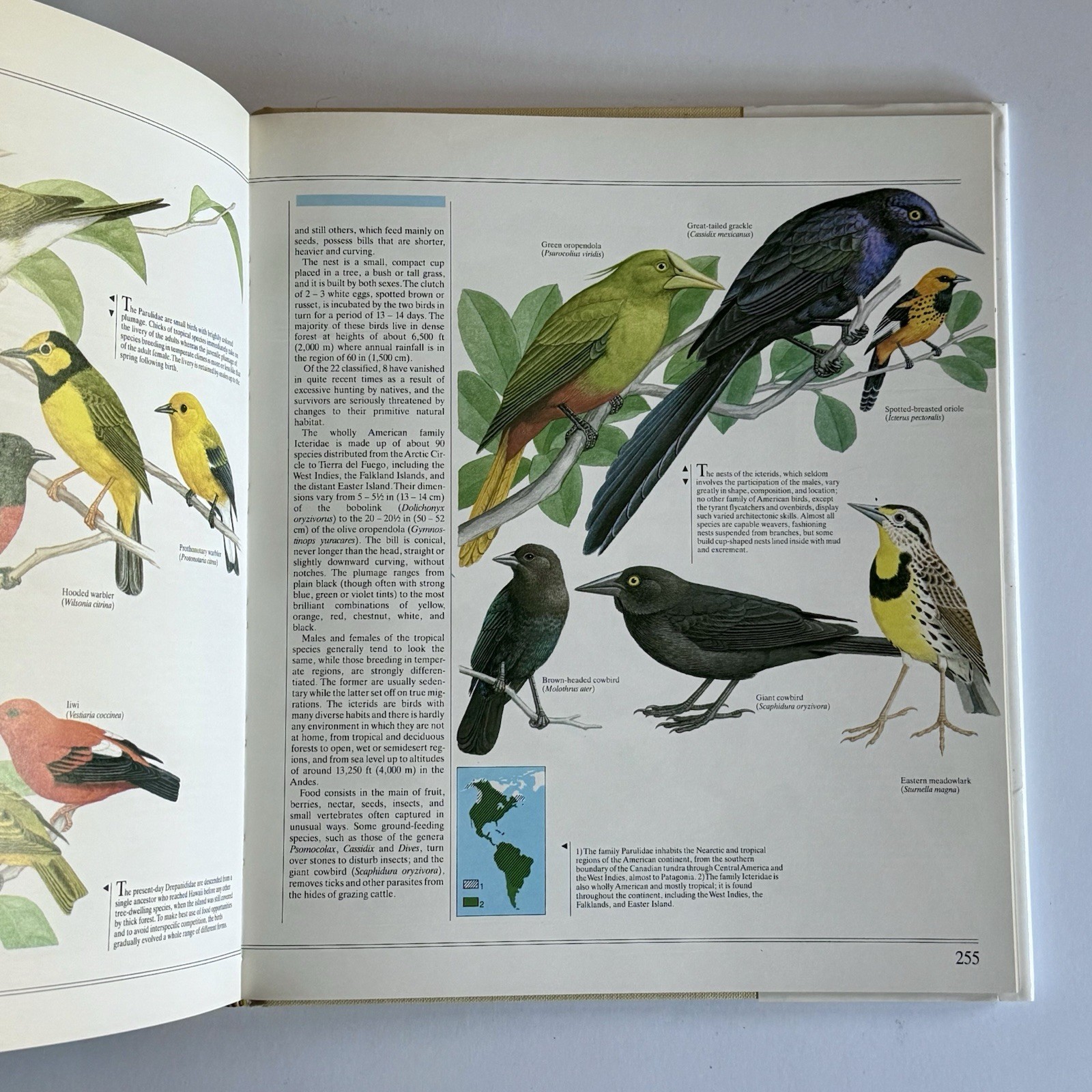 The Great Book Of Birds – 280 pages, 1,000 full color illustrations Ornithology