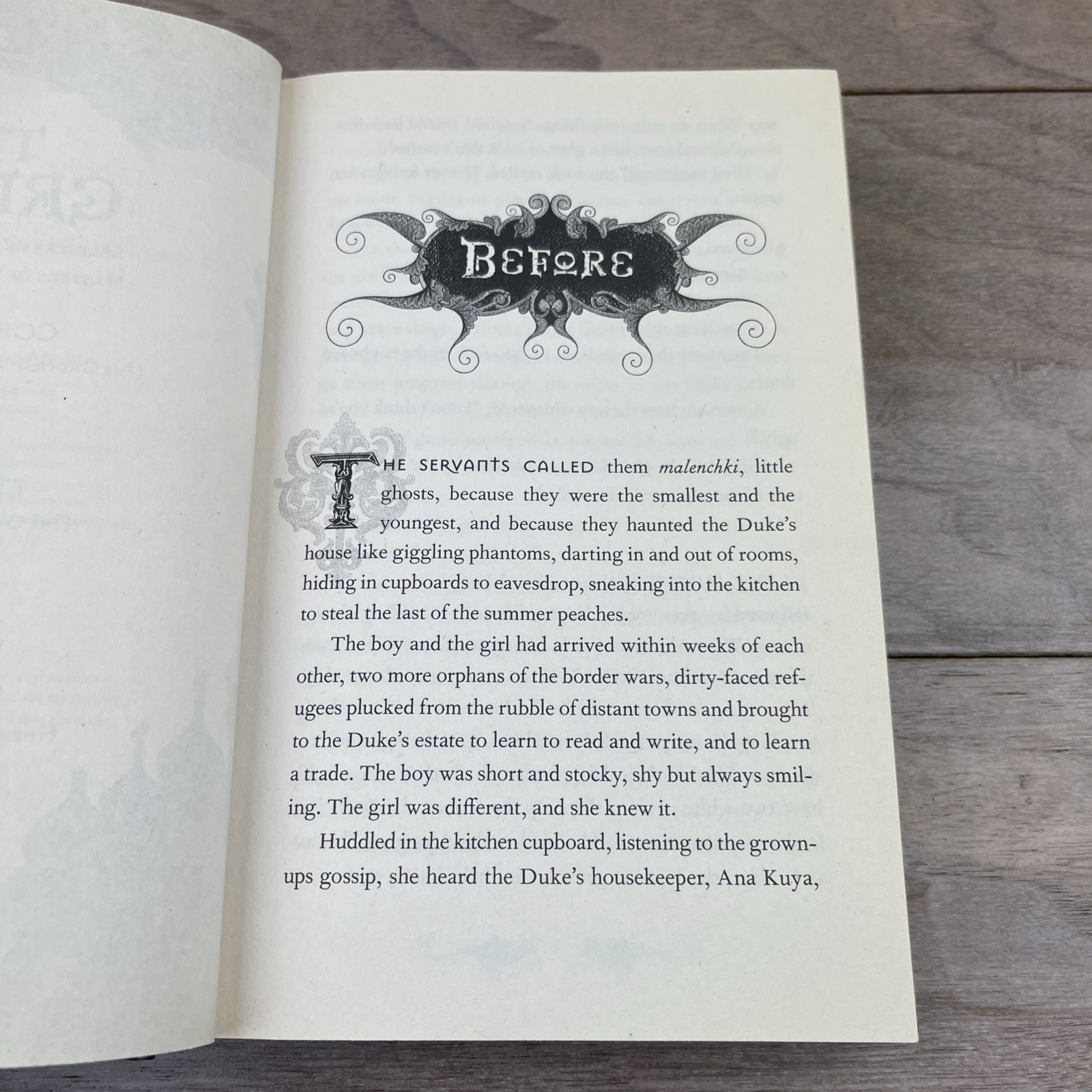Shadow and Bone The Grisha Trilogy Books 1-3 Square Fish Hardcover Leigh Bardugo