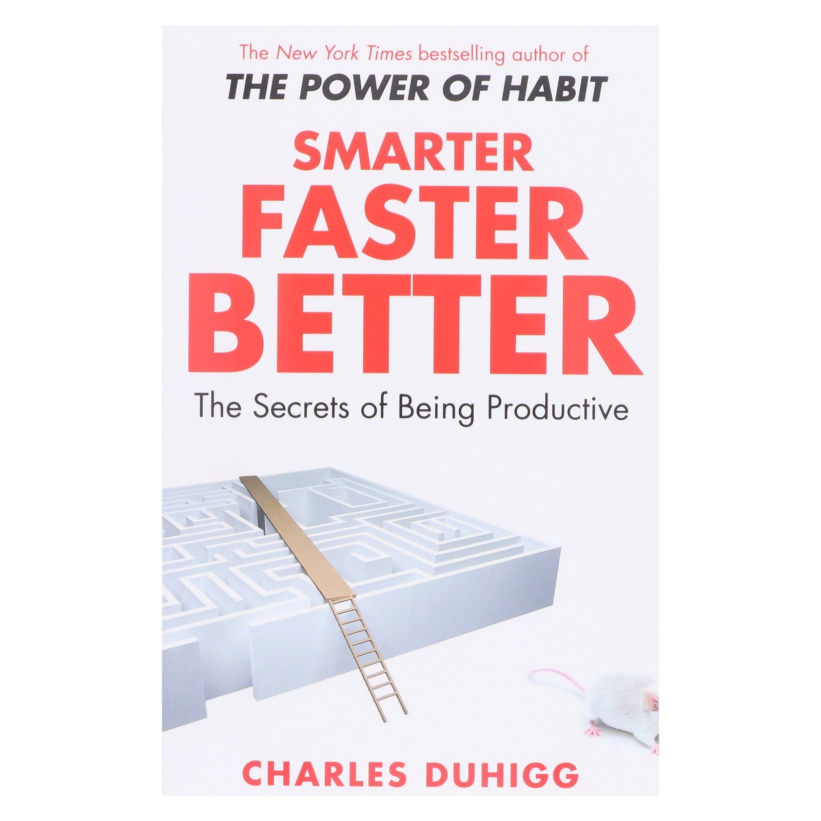 Smarter Faster Better: The Secrets of Being Productive: By Charles Duhigg – PB