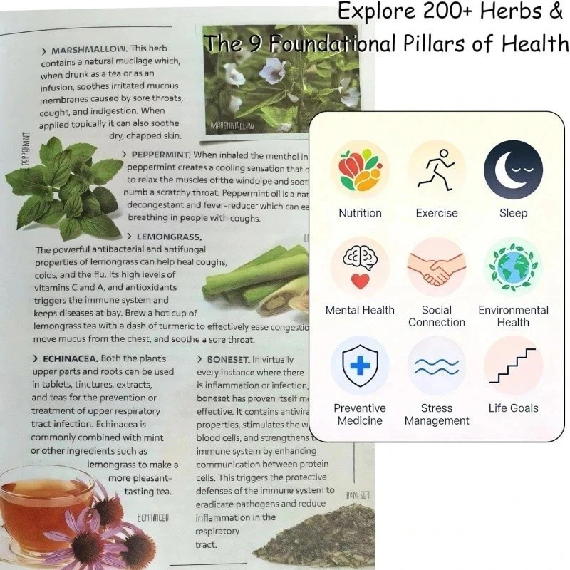Spiral Bound Sustain Me A Handbook of Natural Remedies Barbara O’Neill