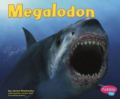 Megalodon (Dinosaurs and Prehistoric Animals) – Paperback – GOOD