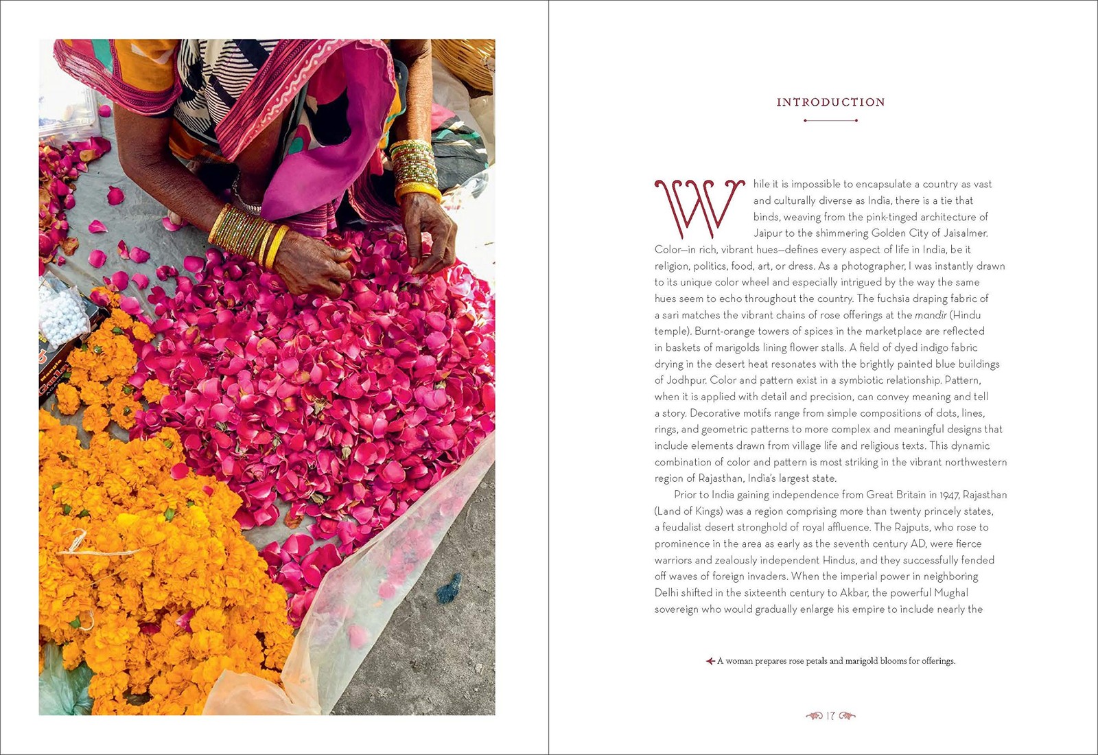 Patterns of India: A Journey Through Colors, Textiles, and the Vibrancy of Rajas