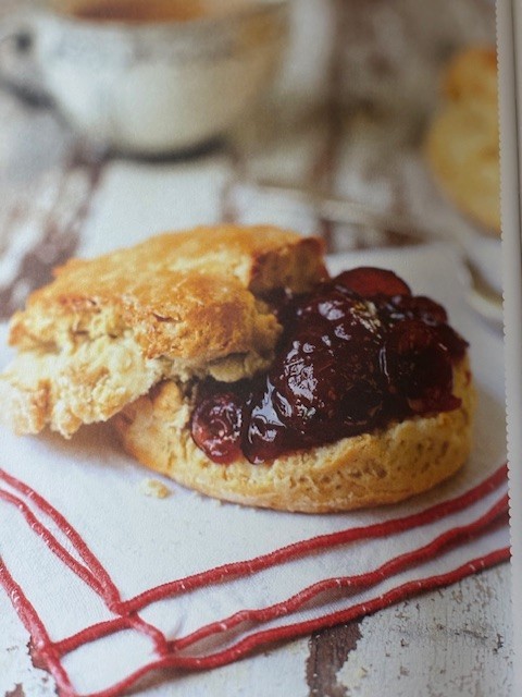 Blue Chair Jam Cookbook Illustrated Hardcover by Rachel Saunders 372 pages