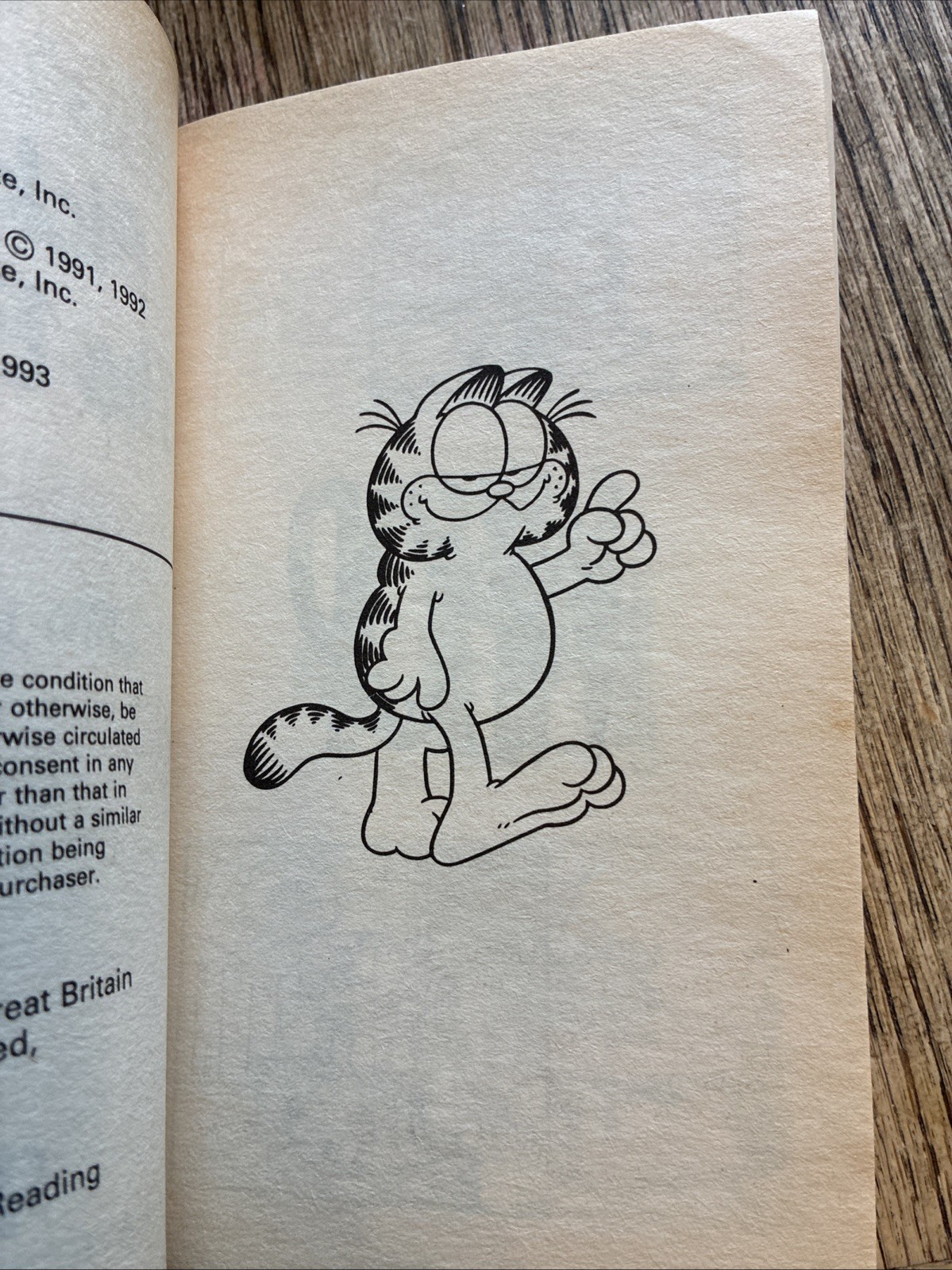 Garfield – Pick of the Bunch (Garfield Pocket Books) By Jim Davi