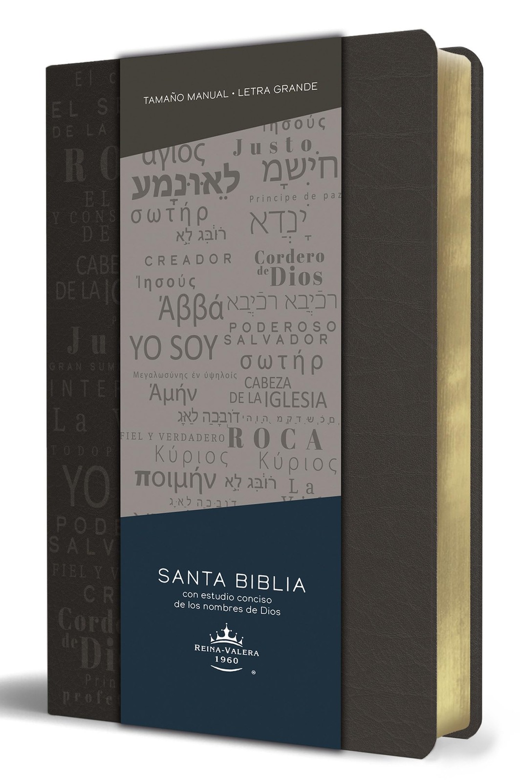 Biblia RVR 1960 letra grande tamaño manual, simil piel gris con Multicolor
