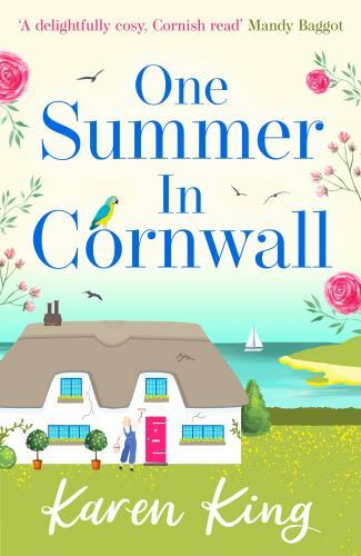 One Summer in Cornwall by