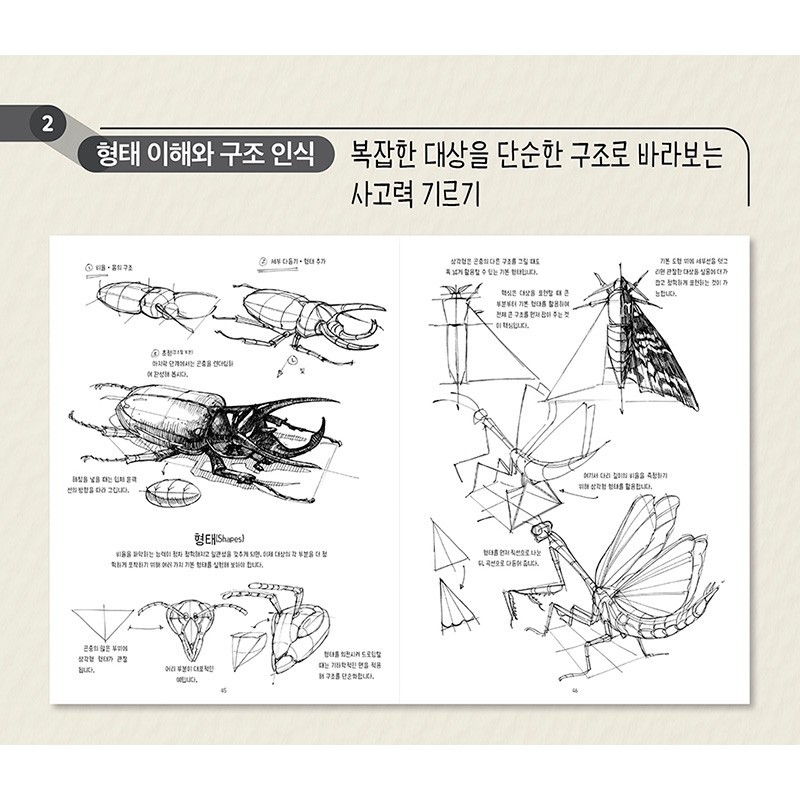 [Korean edition] DYNAMIC BIBLE by Peter Han (Learn Drawing Fundamentals )