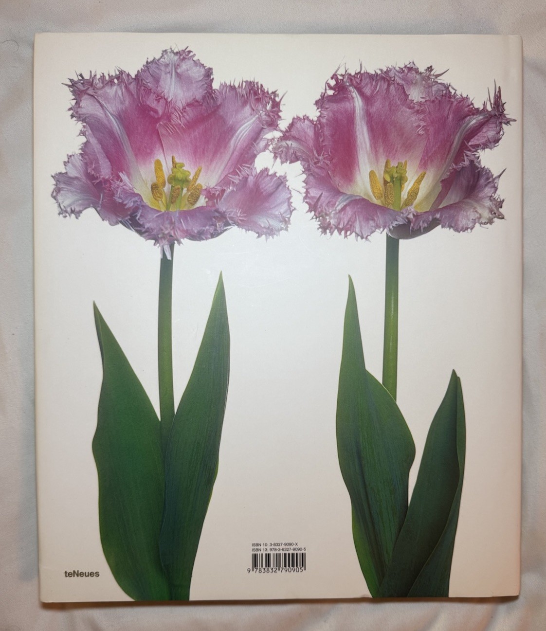 BRAND NEW!!! Tulips Photography Book Hardcover Book with Dust Jacket
