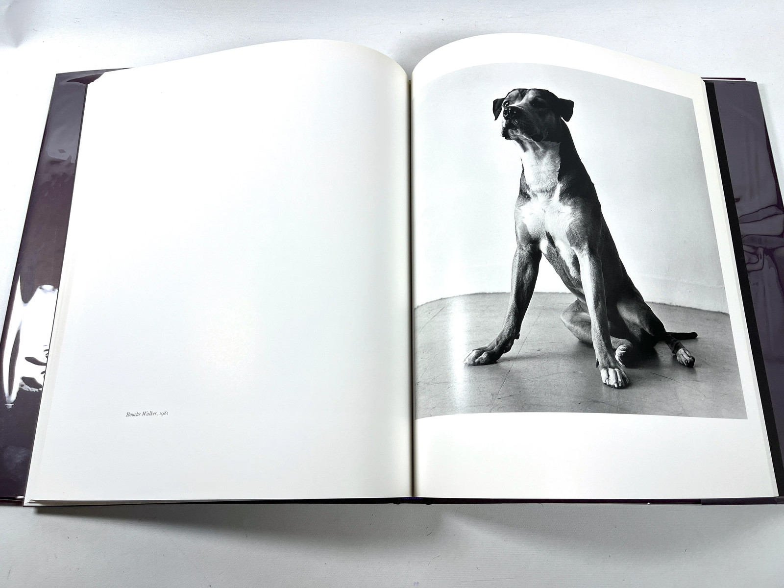 Klaus Kertess, Peter Hujar: Animals and Nudes, Twin Palms 2002 Very Good HC