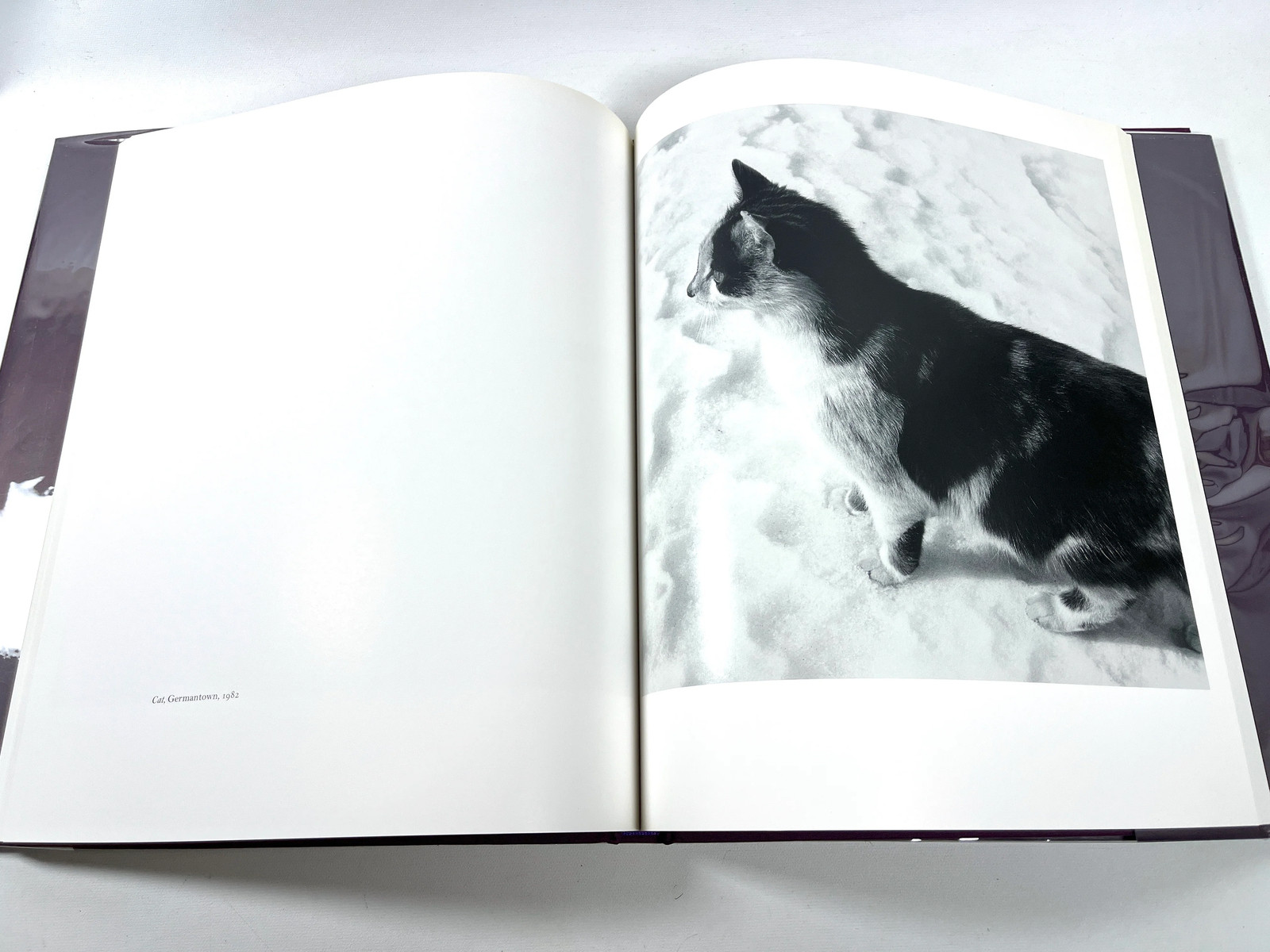 Klaus Kertess, Peter Hujar: Animals and Nudes, Twin Palms 2002 Very Good HC